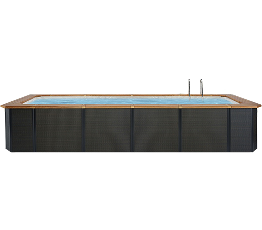 Render di una Piscina Solaire Premium o Elegance - Esa Italy Piscine